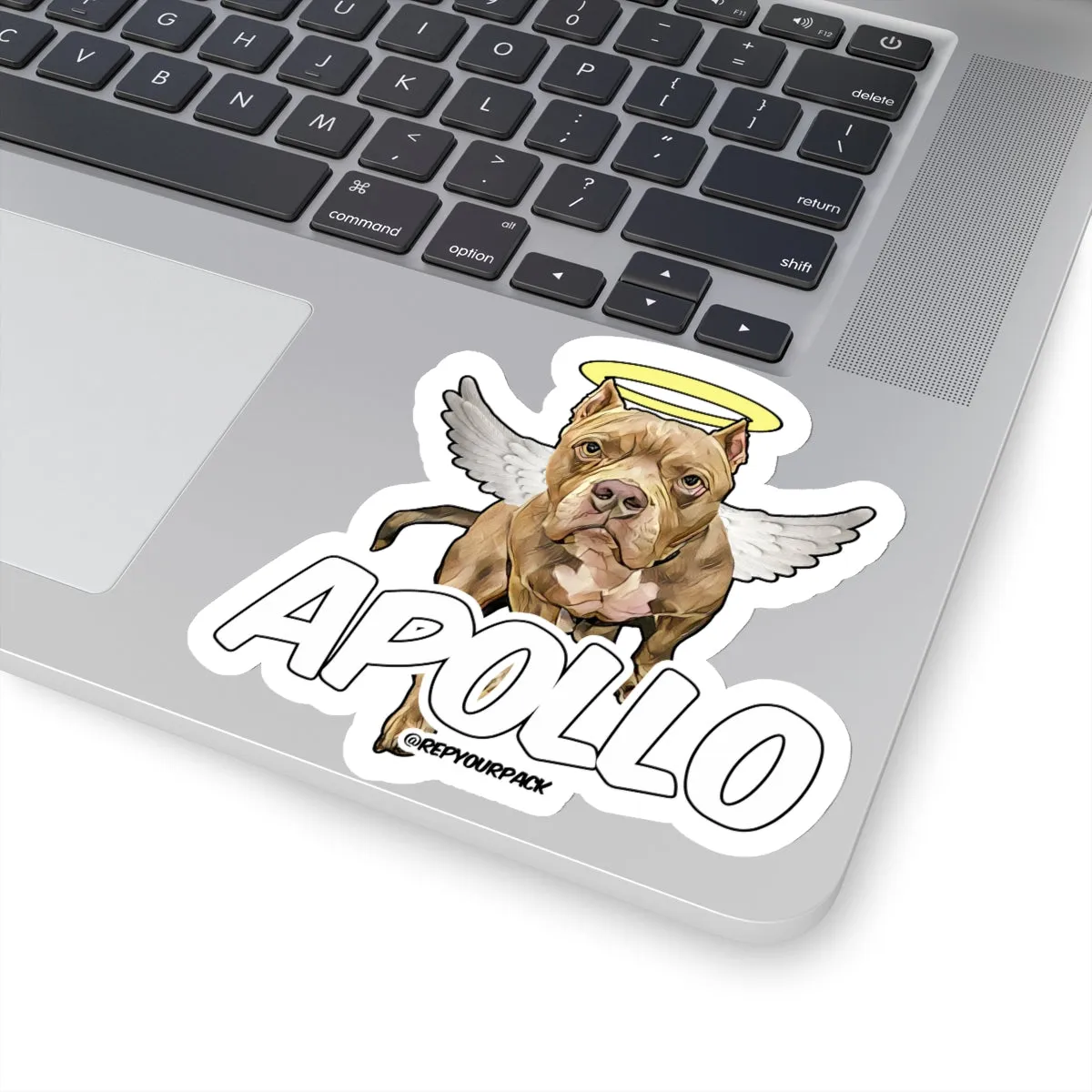 Apollo Angel Wings 1 Stickers