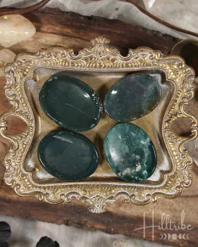 Bloodstone Worry Stone